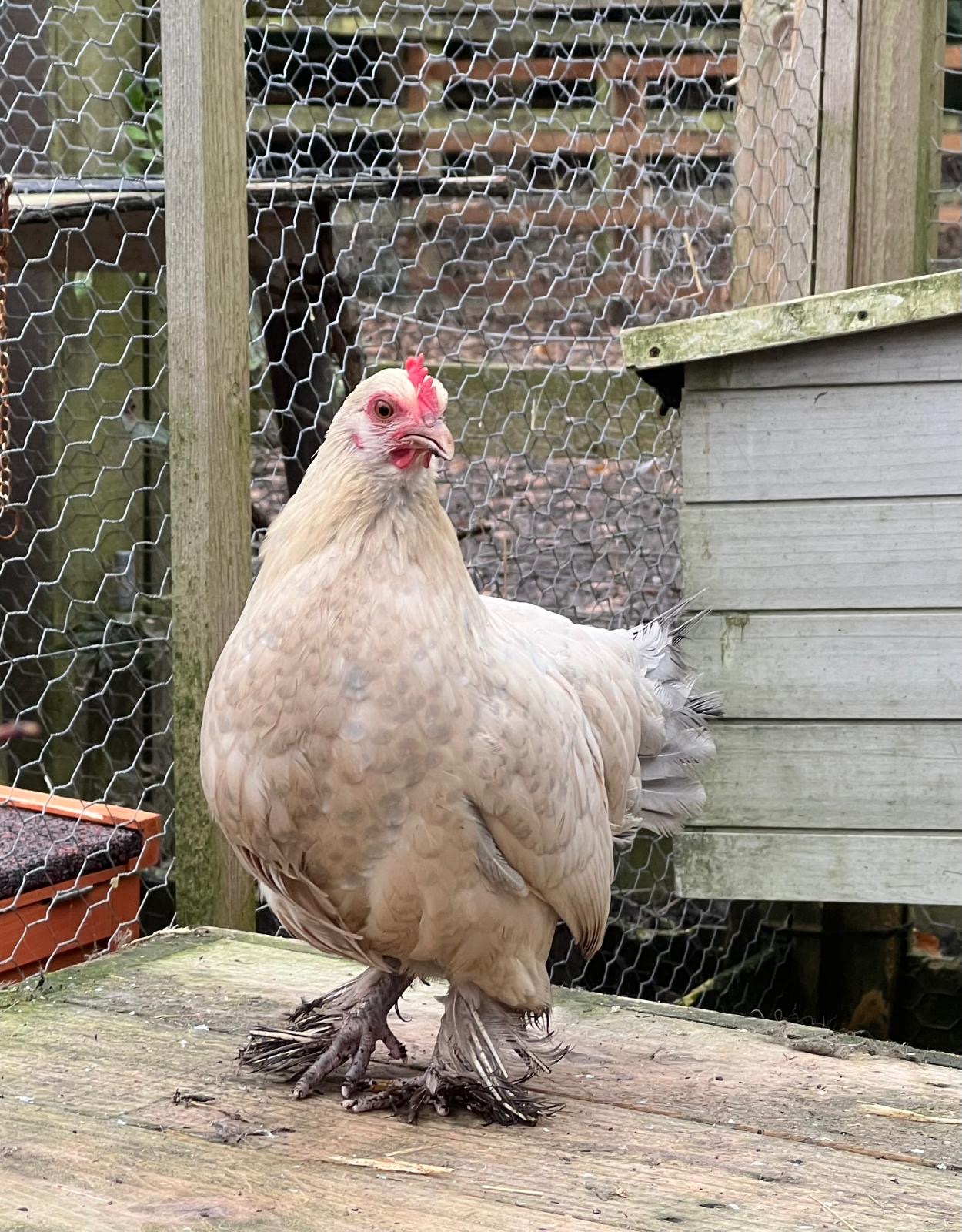 35162cda-ca6f-4269-8569-128aaf2ac78b